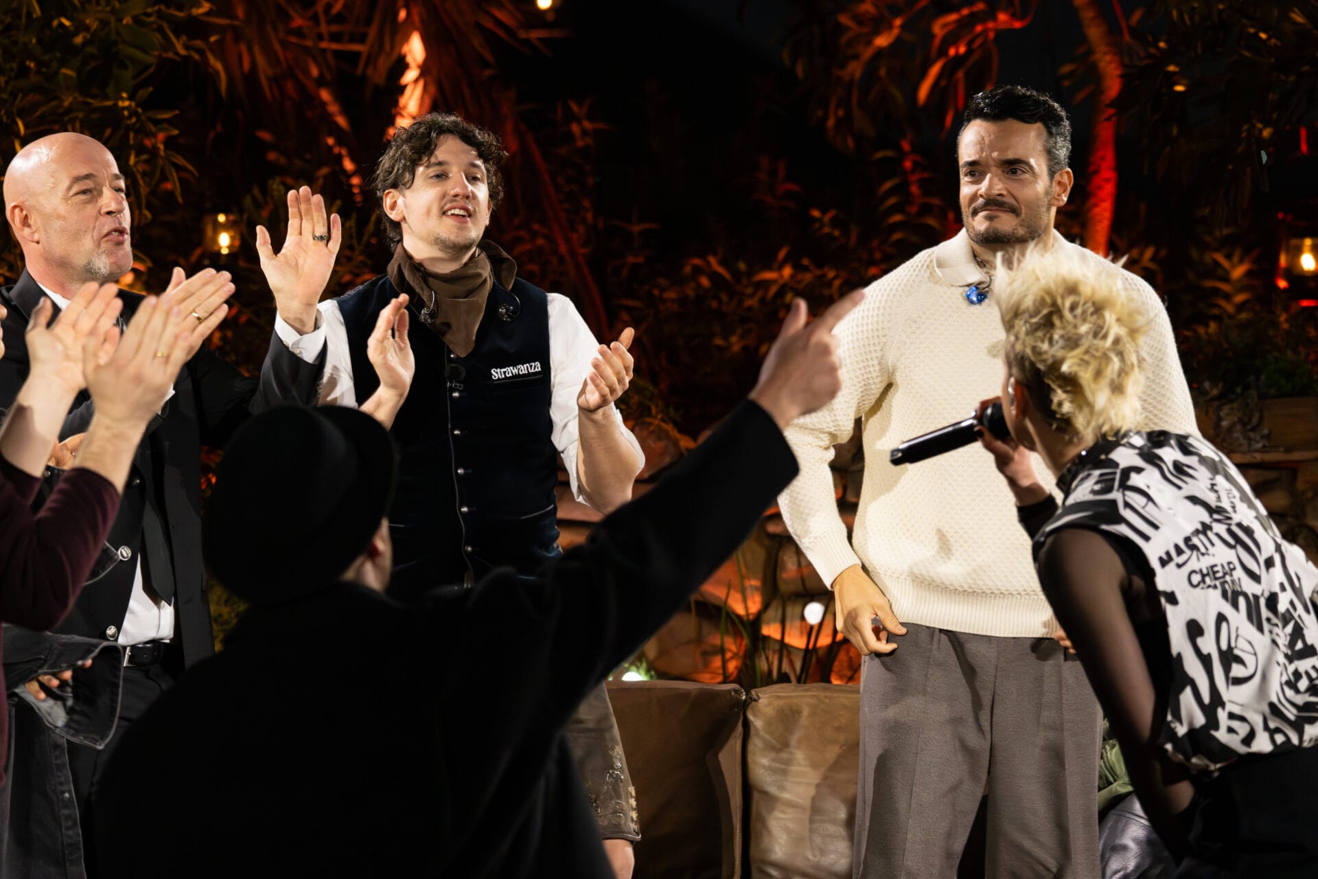 Sing Meinen Song Das Tauschkonzert