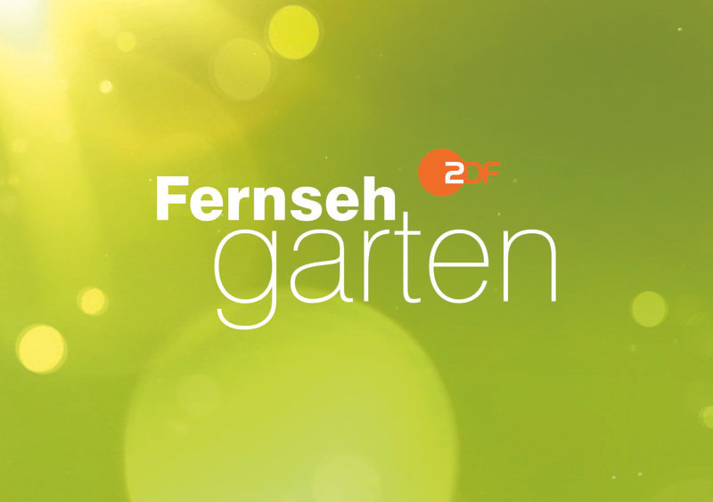 ZDF-Fernsehgarten | Alexandra Hofmann