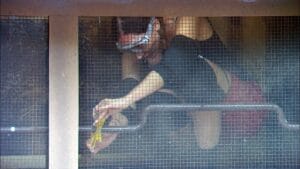 Ich Bin Ein Star Holt Mich Hier Raus!