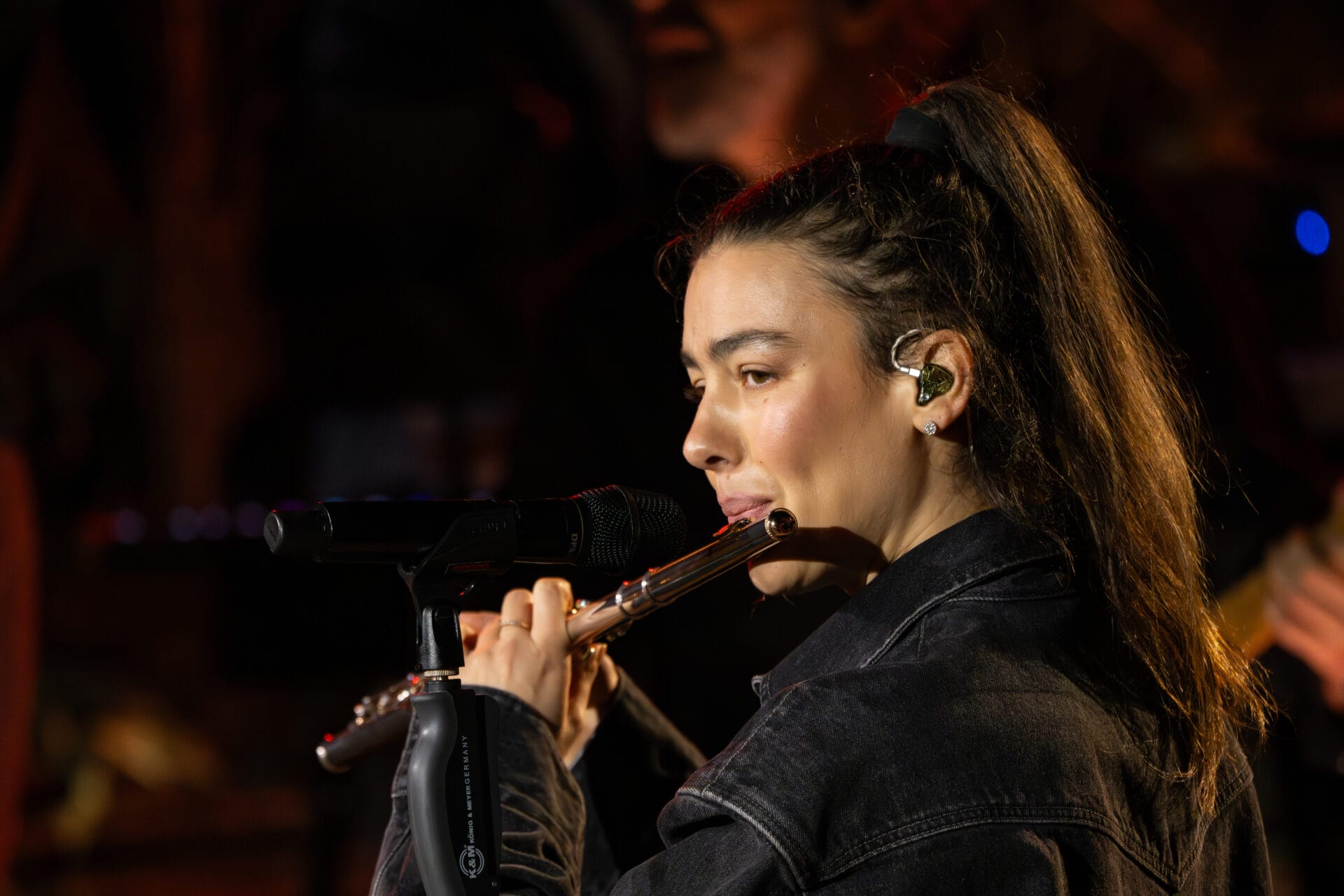 Sing Meinen Song Das Tauschkonzert