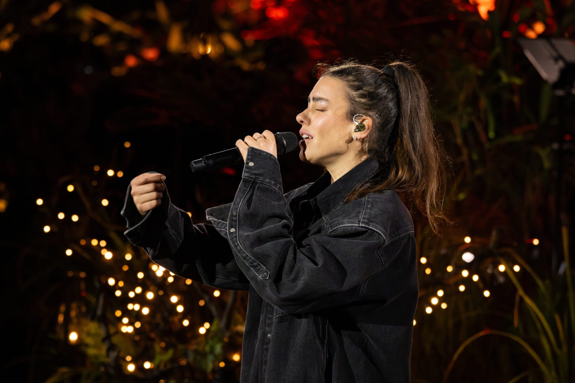 Sing Meinen Song Das Tauschkonzert
