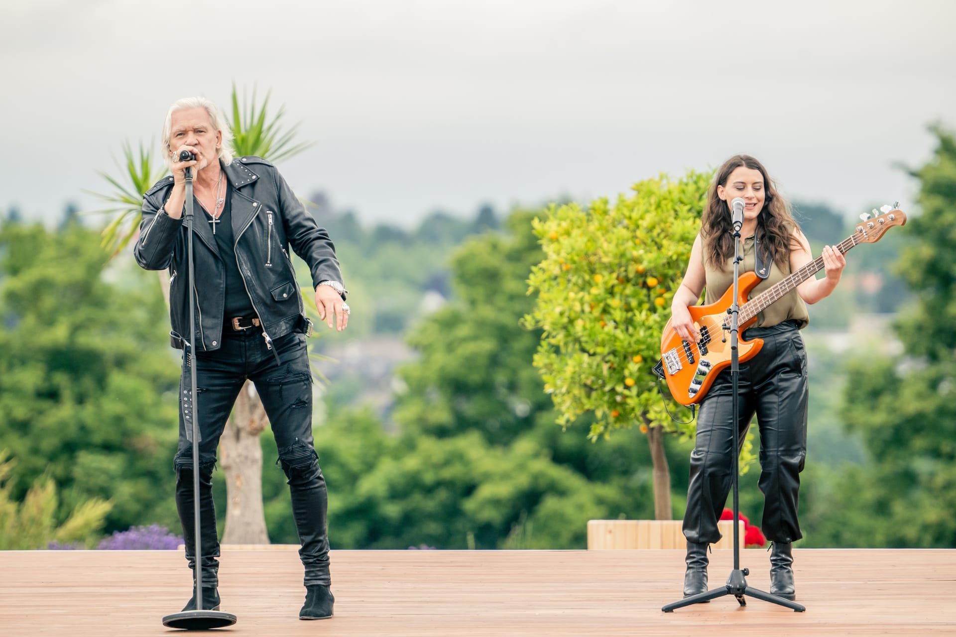Zdf Fernsehgarten
