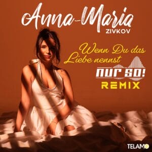 Amz Dubist Rmx