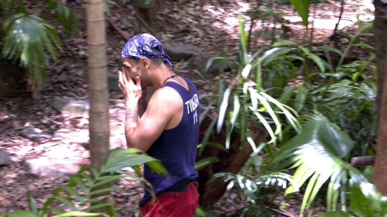 Ich bin ein Star - Holt mich hier raus! &raquo; IBES,dschungelcamp