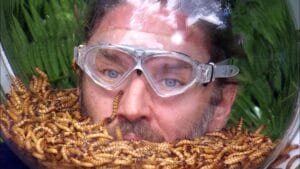 Ich Bin Ein Star Holt Mich Hier Raus!