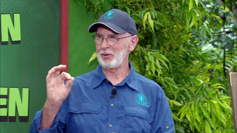 Dschungelcamp 2025 - Fotos von Tag 12 inklusive Dschungelprüfung