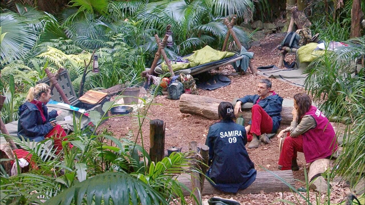 Dschungelcamp 2026 – Tag 14: Wer musste das Camp heute am 05.02.26 verlassen?