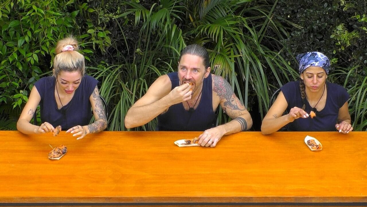 Dschungelcamp 2026: Wie viele Sterne gab es an Tag 6 in der Dschungelprüfung? Dschungelcamp 2026: Wie viele Sterne gab es an Tag 6 in der Dschungelprüfung?