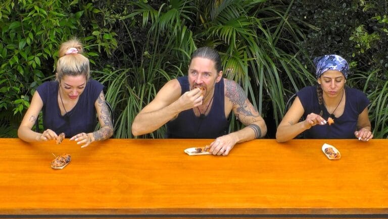 Dschungelcamp 2026: Wie viele Sterne gab es an Tag 6 in der Dschungelprüfung?