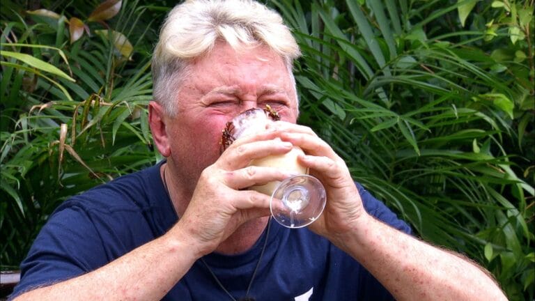 Dschungelcamp 2026: Wie viele Sterne gab es für Hubert Fella in der Dschungelprüfung im Finale?