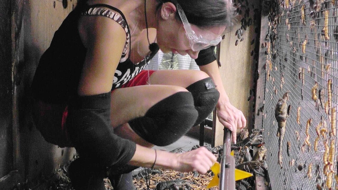 Dschungelcamp 2026: Wie viele Sterne gab es für Samira Yavuz in der Dschungelprüfung im Finale?