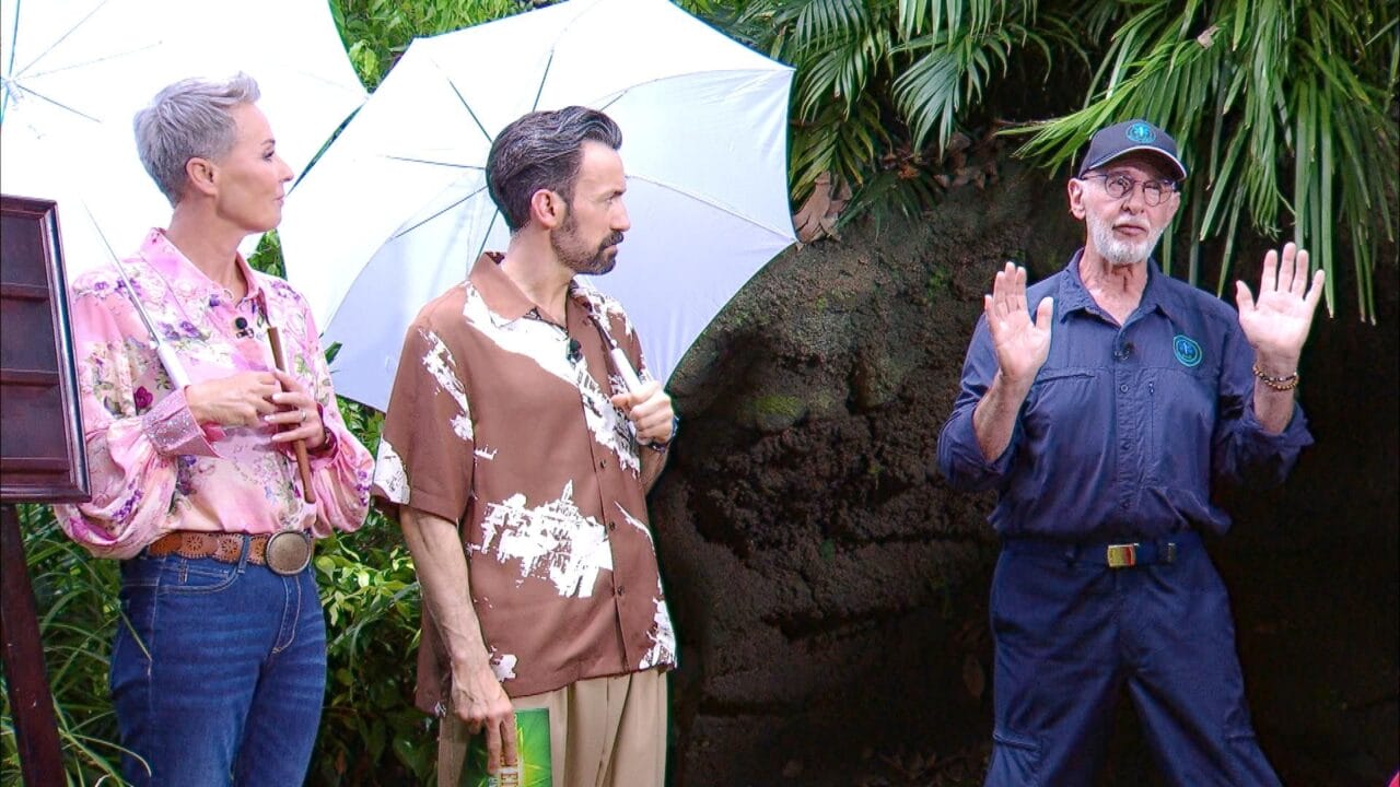 Dschungelcamp Tag 10 – Wer tritt heute in der Dschungelprüfung an? Und wer fliegt als nächstes raus? Dschungelcamp Tag 10 – Wer tritt heute in der Dschungelprüfung an? Und wer fliegt als nächstes raus?