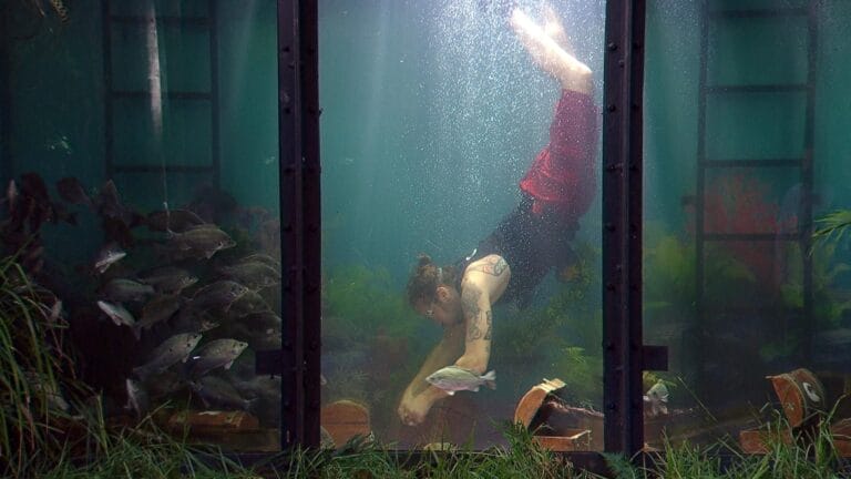 Dschungelcamp – Tag 10: Wie viele Sterne gab es in der Dschungelprüfung am 01.02.26? Dschungelcamp – Tag 10: Wie viele Sterne gab es in der Dschungelprüfung am 01.02.26?