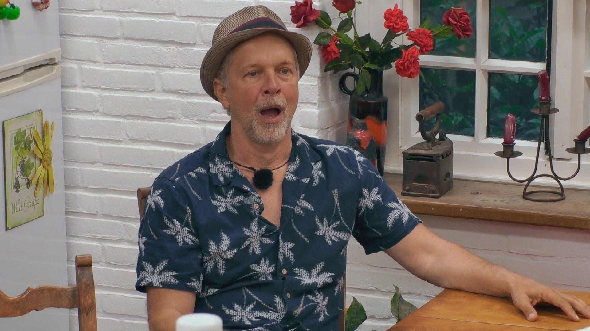 Das Sommerhaus Der Stars Kampf Der Promipaare