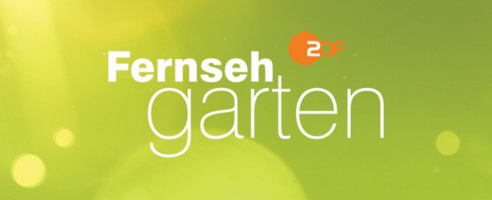 ZDF-Fernsehgarten: Gäste - Anna-Carina Woitschack feiert Premiere » Mike Leon Grosch ZDF-Fernsehgarten: Gäste - Anna-Carina Woitschack feiert Premiere » Mike Leon Grosch