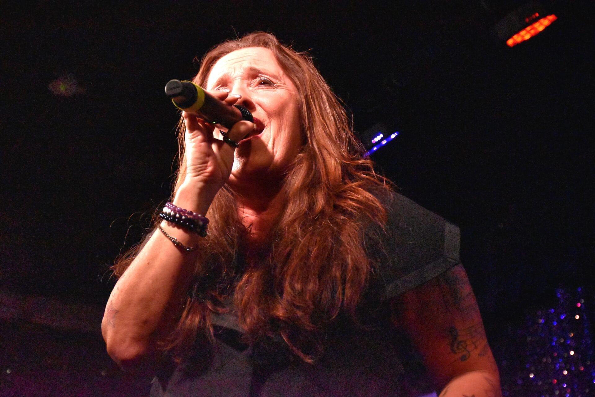 Sonia Liebing Fankonzert 2025: Die schönsten Fotos von allen Stars