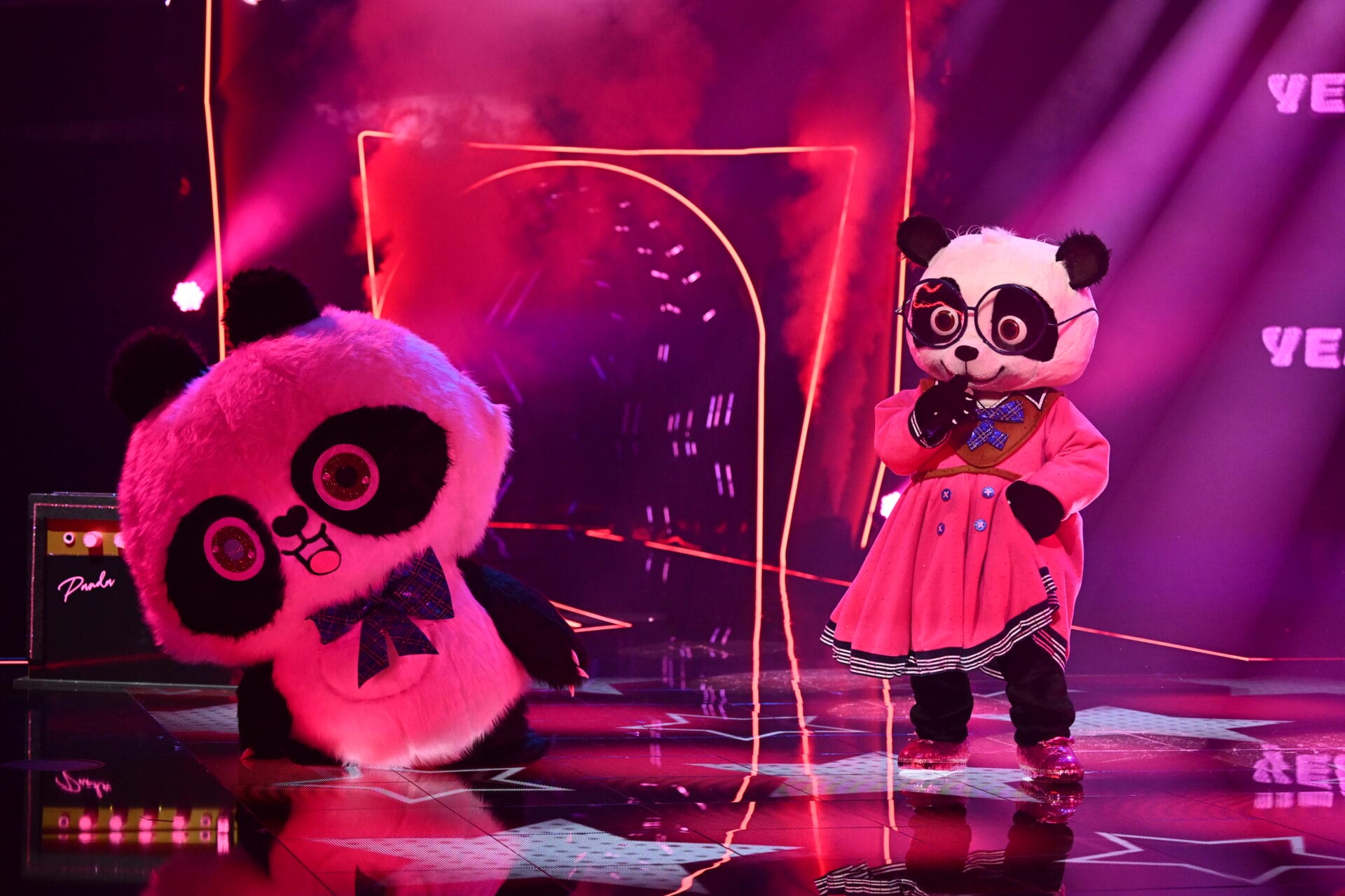"The Masked Singer": Der Panda hat gewonnen! DIESE Sängerin steckte im Kostüm!