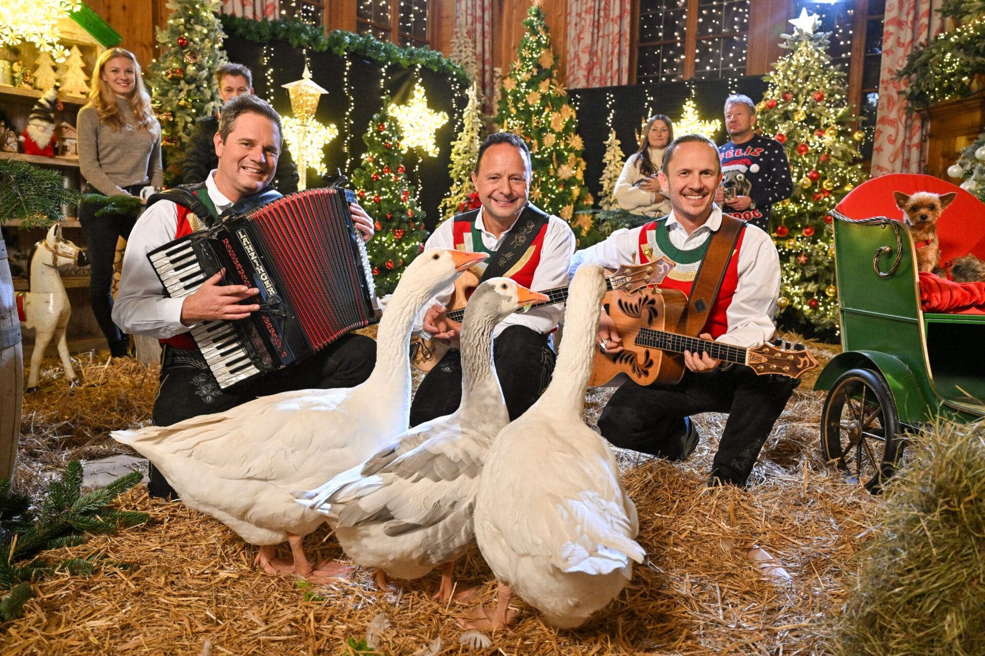 Weihnachten Auf Gut Aiderbichl
